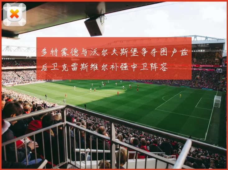 多特蒙德与沃尔夫斯堡争夺图卢兹后卫克雷斯维尔补强中卫阵容